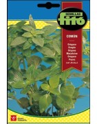 oregano común (origanum officinalis)