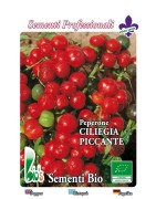 guindilla ciliegia - semillas ecologicas