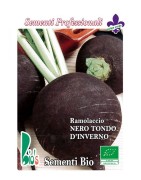 rábano negro - semillas ecológicas