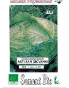 repollo San Giovani - semillas ecologicas