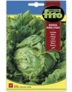 lechuga batavia verde utebo - semillas Fitó