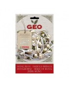 judia mungo para germinar geo