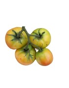 tomate longkeeper (semillas ecológicas)