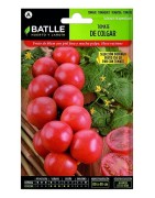 tomate de colgar Domingo