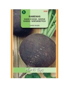 rabano negro redondo zwarte
