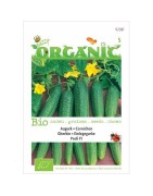 pepinillo Profi F! (semillas ecológicas)