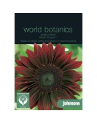 girasol rojo moulin rouge F1