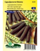 guisante azul de grano gris Desiree