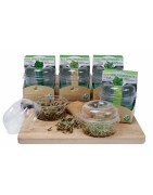 kit de germinado ecológico de berros