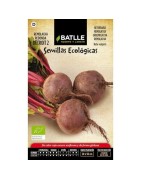 remolacha detroit 2 - semillas ecológicas