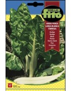 acelga verde de penca blanca Tarrega