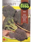 brocoli Merit F1