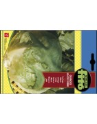 lechuga grandes lagos sebre