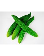 pera de bálsamo - sopropo (Momordica charantia)