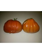 tomate corazón de buey (acostillado)