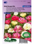 Amapola de California ramo de novia mix (Eschscholzia californica)