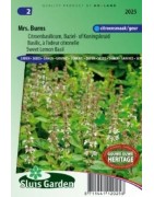 Albahaca limón de la señora Burns