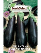 berenjena larga de Napoles