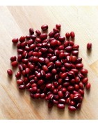 Adzuki rojo - soja roja (Vigna angularis) semillas ecológicas