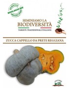 calabaza cappello da prete  (semillas ecológicas)