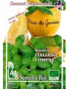 albahaca genovese - semillas ecológicas