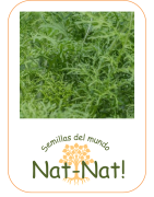 Mostaza golden frills