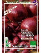 cebolla southport red globe (semillas ecologicas)