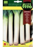 puerro carentan 2 - semillas ecológicas