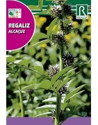 regaliz