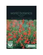 penstemon pinifolius