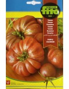 tomate purple calabash
