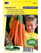 zanahoria sugarsnax F1