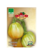 tomate canestrino (semillas ecológicas Arcoiris)