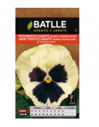 pensamiento gigante blanco corazón negro