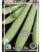 pepino tortarello de Bari - semillas ecológicas
