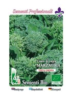 brocoli rapa marzatica - grelos - semillas ecológicas