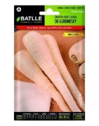 semillas de chirivía Guernesey