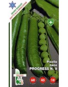 guisante progress - semillas ecológicas