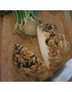 Apio Nabo Monarch (Semillas Ecológicas)