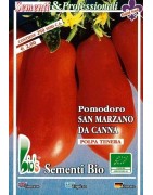 tomate san Marzaro de caña (semillas ecológicas)