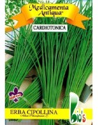 cebollino - Allium schoenoprasum - (semillas ecológicas)