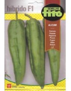 pimiento Alicum F1