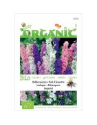 Delphinium imperial (semillas ecológicas)