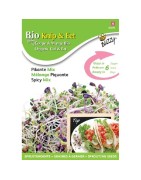 germinados ecológicos - mezcla picante para ensaladas