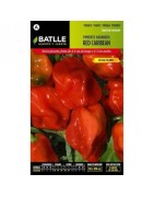 pimiento habanero red caribean