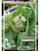 achicoria de Castelfranco semillas ecológicas