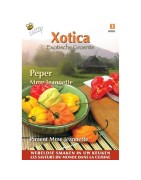 pimiento - chile Madame Jeanette