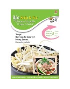 semillas de soja para germinados - judia mungo