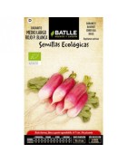 rabanito medio largo rojo punta blanca - semillas ecológicas