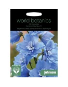 delphinium sky blue F1